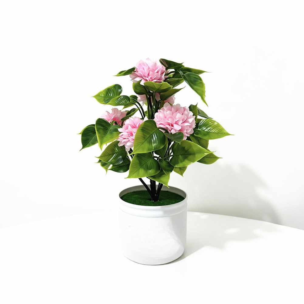 Bonsai Garden Design - Ev Bahçesi Masa Üstü Rafı için