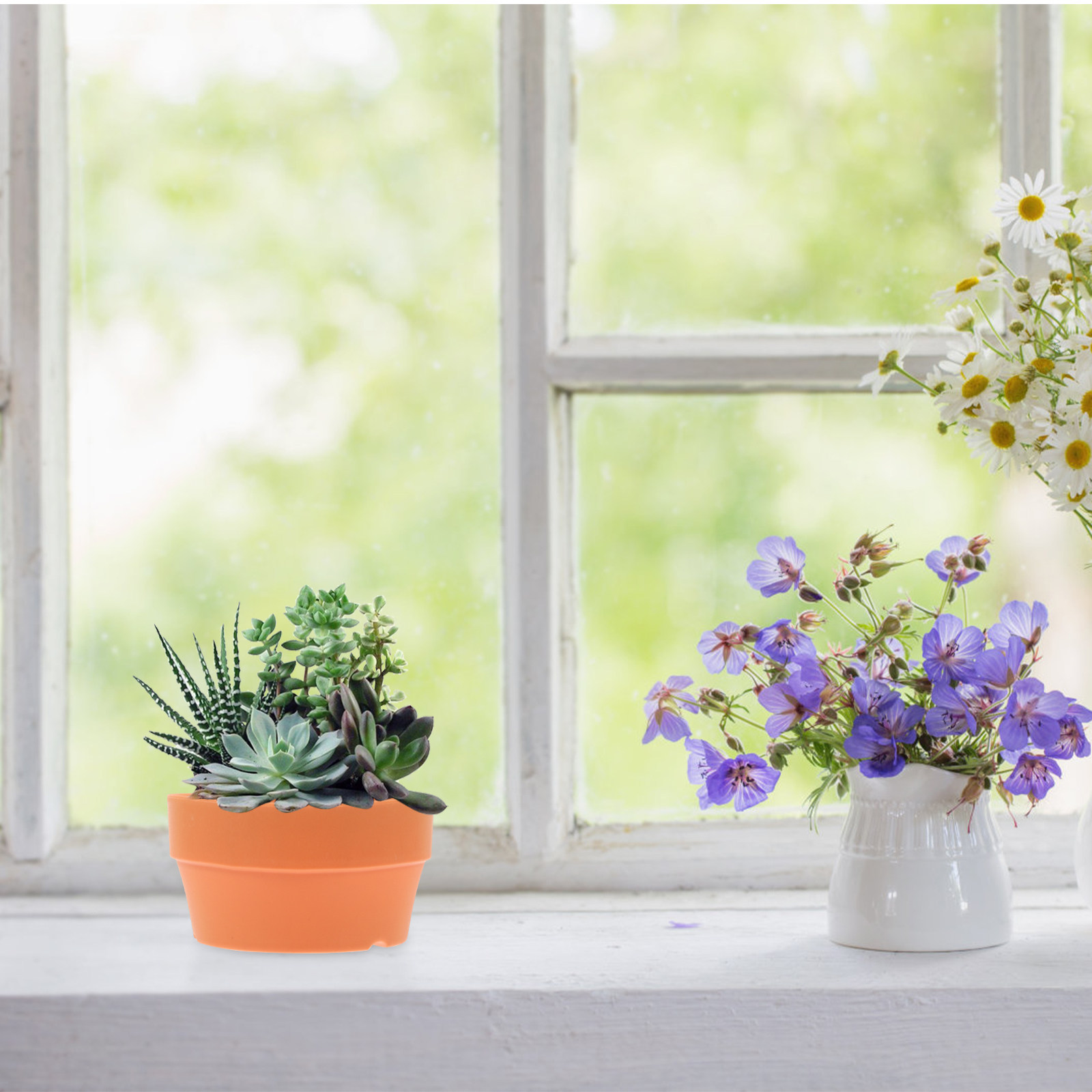6 Adet Yüksek Kaliteli Plastik - Bonsai Garden Design incelemesi ve fiyatı