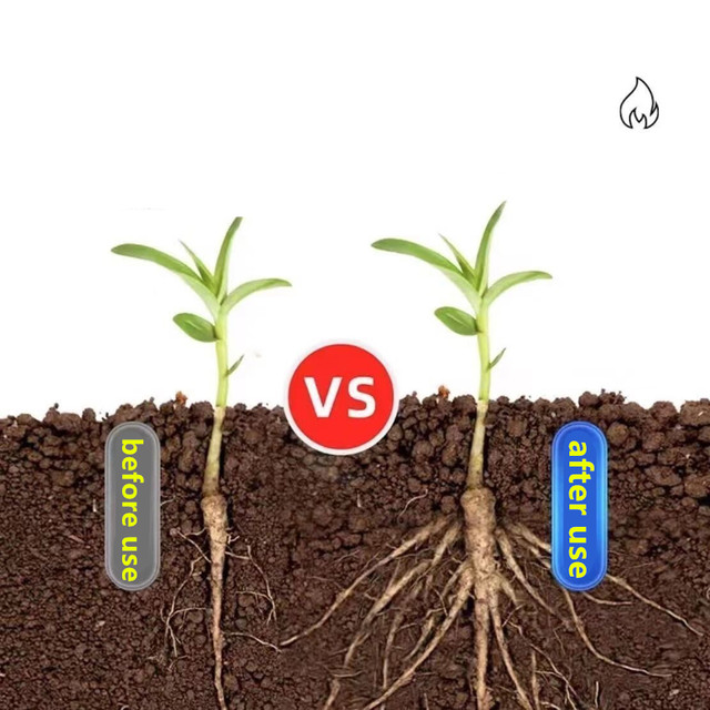 Bitkiler Çiçekler Bonsai Etli  - Elemental Bonsai Garden incelemesi ve fiyatı